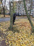 Уборка осенней листвы на территории гимназии
